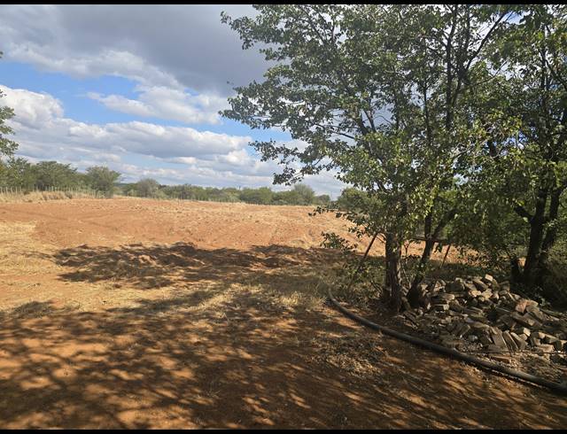 22.40HA FARM FOR SALE IN MOPANE